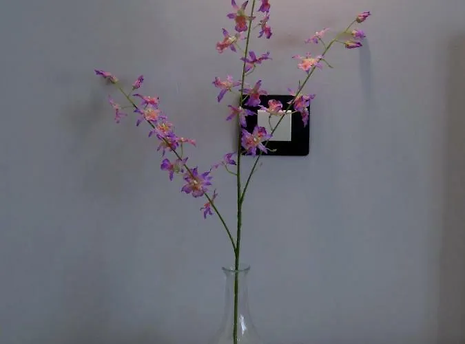 La Palmita La Victoria de Acentejo