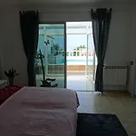 La Palmita *